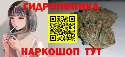 эйфоретик Будённовск