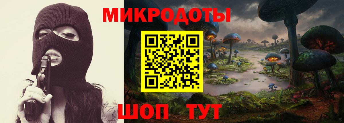 Псилоцибиновые грибы мицелий  Вход с VPN  Черногорск  купить наркотик  Галлюциногенные грибы Cubensis 